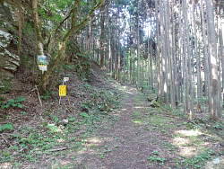 林道終点から登山道を