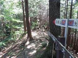峠から高柄山への道を