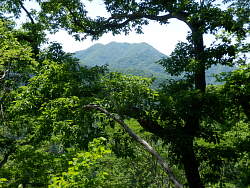 ここまで唯一高柄山が良く見えた