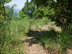 登った側から見た山頂
