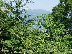 上野原市街地側