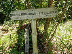 木に立てかけられた道標