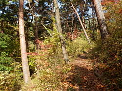 登り始めの頃の風景