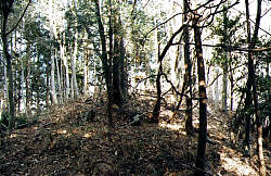 山頂